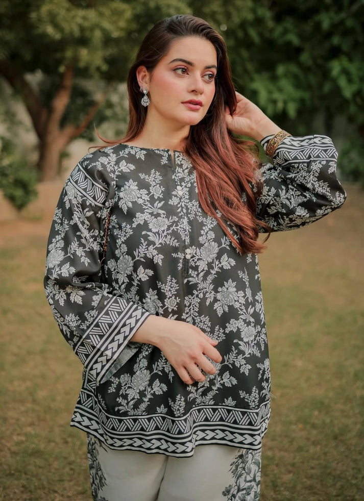 DILRUBA TRENDING 2PC